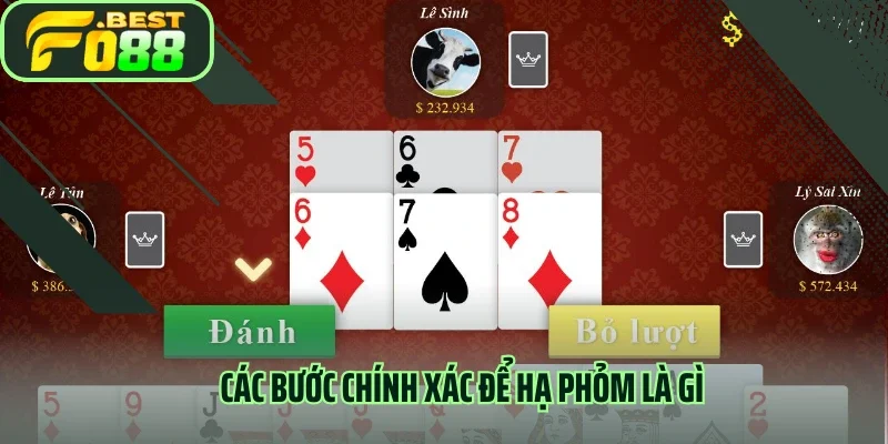 Các bước chính xác để hạ phỏm là gì