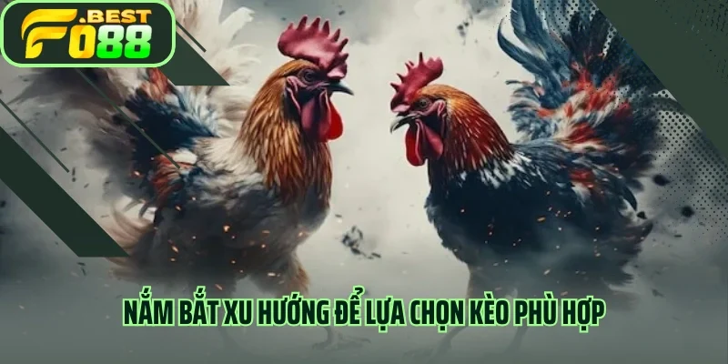 Nắm bắt xu hướng để lựa chọn kèo phù hợp