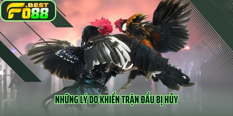 Những lý do khiến trận đấu bị hủy 