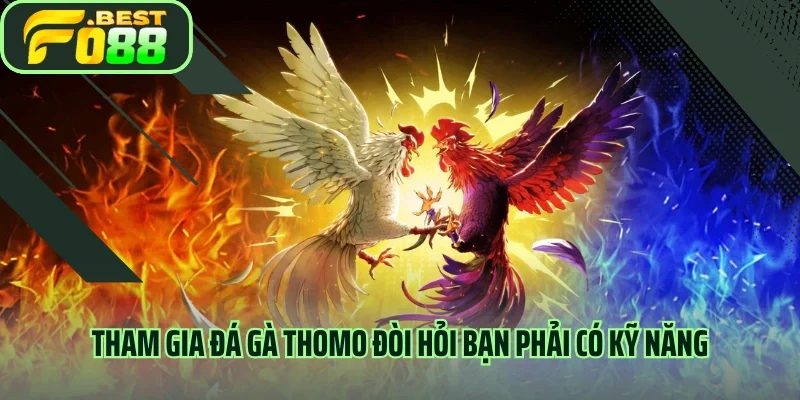 Tham gia đá gà thomo đòi hỏi bạn phải có kỹ năng
