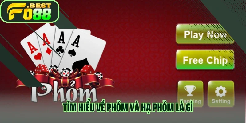 Tìm hiểu về phỏm và hạ phỏm là gì